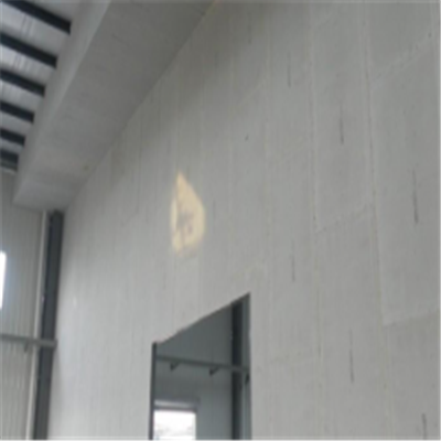 莲花宁波ALC板|EPS加气板隔墙与混凝土整浇联接的实验研讨